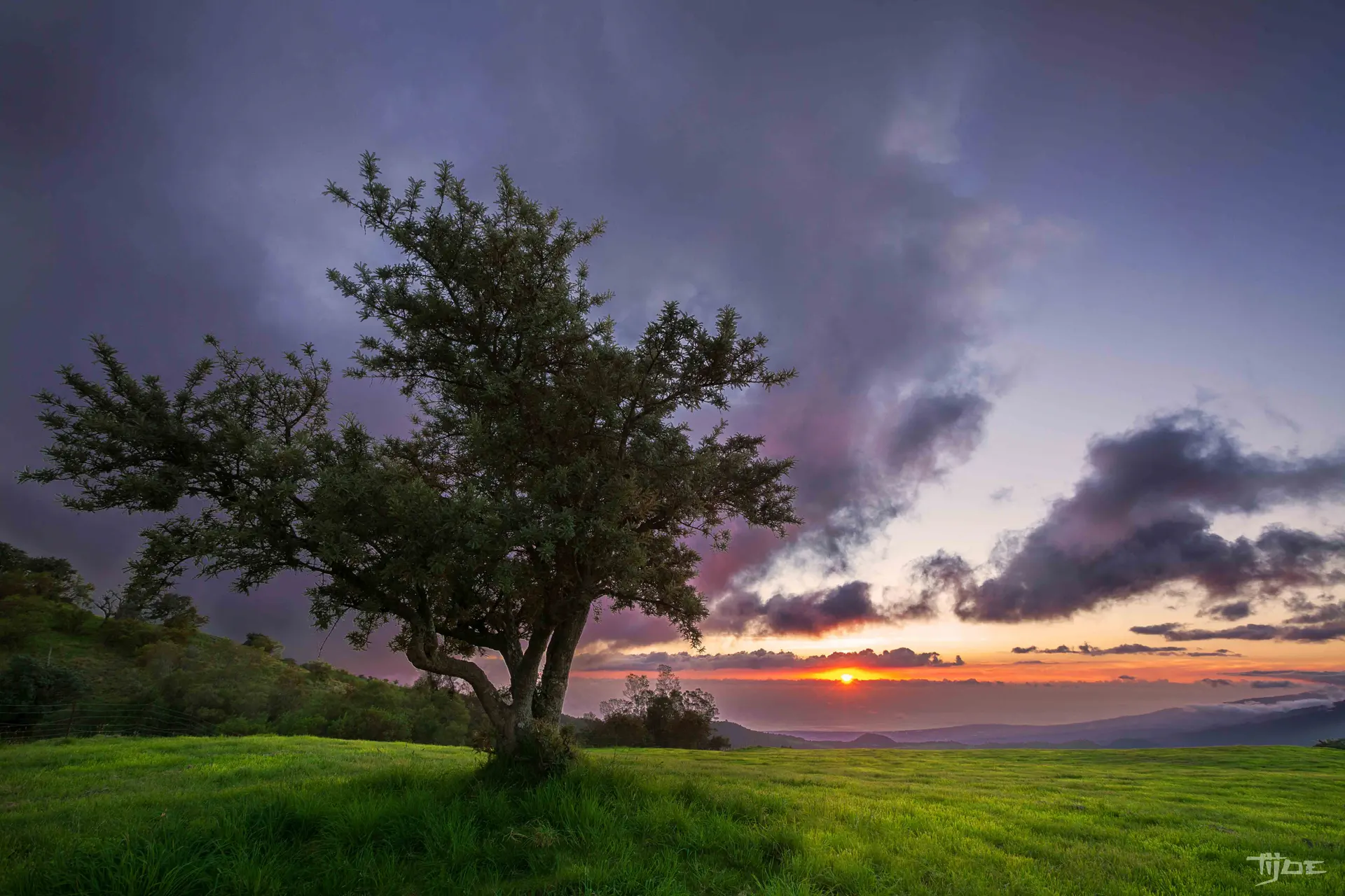 Coucher de soleil sur les collines verdoyantes capturé par Tijoe, photographe et concepteur de site web à Mulhouse